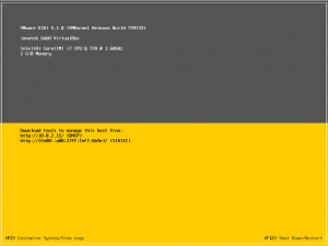 After the reboot this will be the default ESXi screen