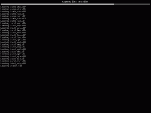 ESXi - the installer is loading